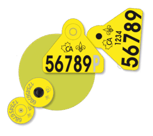 2026 letter of the year